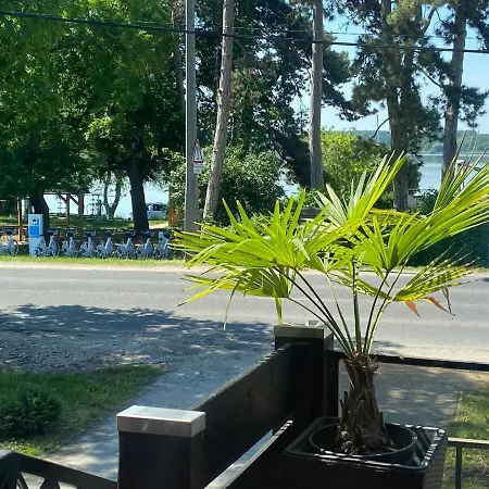 Panzio Bed and Breakfast